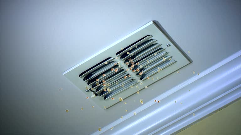 Best HVAC Air Duct Cleaning  in Caledonia, MS