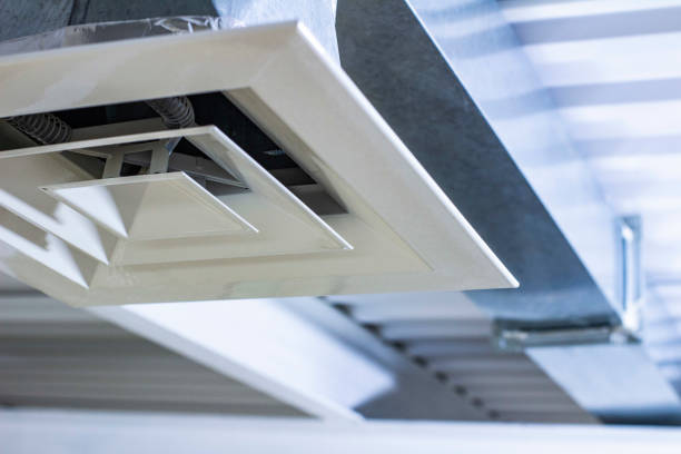 Best Professional Duct Cleaning Services  in Caledonia, MS