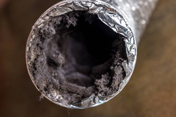 Best Affordable Air Duct Cleaning  in Caledonia, MS