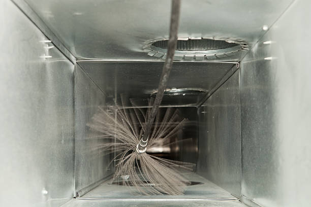 Best Dryer Vent Cleaning Services  in Caledonia, MS